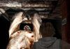Top 5: Jogos de Terror