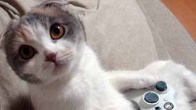 PS3 vs Xbox 360 vs Wii – Parte 2