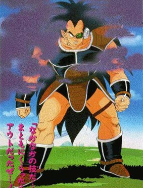 O irmão de Goku RADITZ
