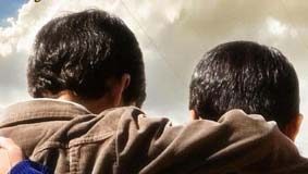 Celulose vs. Película