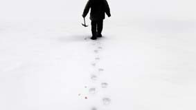 Terror na Antártida