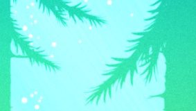 Feist (resenha + promoção!)