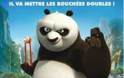 Veja pôster francês de Kung Fu Panda 2