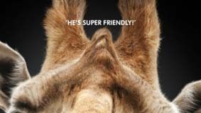 Se Beber, Não Case! – Parte III