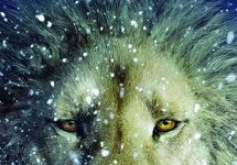 Veja o novo pôster do terceiro As Crônicas de Nárnia