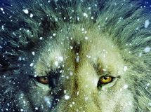 Veja o novo pôster do terceiro As Crônicas de Nárnia