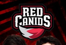 Jogadores, jogadores – Desvendando a dança das cadeiras da RED Canids