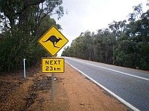 Moleque usa Nintendo DS para salvar a família!