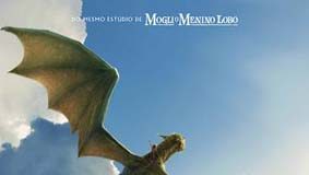 Meu Amigo, o Dragão