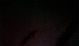 Homem-Aranha: saiba como será a participação de Stan Lee no reboot