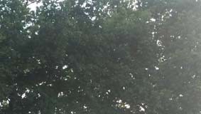 Festival Hellfest 2014 em Clisson, França (20, 21 e 22 de junho)