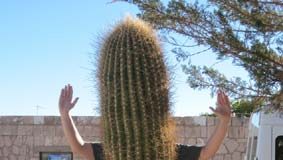 Guia Delfiano de Viagem ao Chile