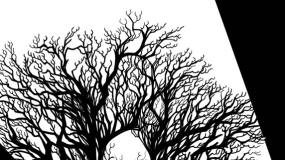 Revista do Justiceiro chegará ao final nos EUA