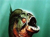 Piranha 3D tem continuação garantida