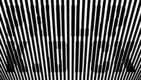 Realidades Adaptadas