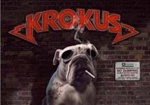 Krokus anuncia novo membro canino!