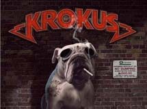 Krokus anuncia novo membro canino!