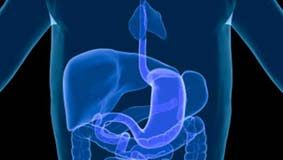 O diário delfiano da apendicite