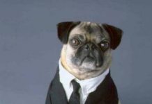 Homens de Preto III: confira os novos pôsteres