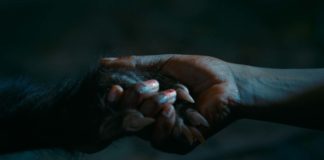 Crítica: As Boas Maneiras une bem drama e terror Delfos, As Boas Maneiras