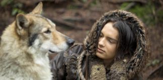 Crítica – Alfa: as aventuras de um menino e seu cachorro Delfos, Alfa