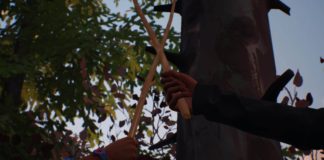 Análise Life Is Strange 2: Chupacabras do Espaço Sideral Life is Strange 2, Life Is Strange, Delfos