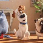 pets 2 torto
