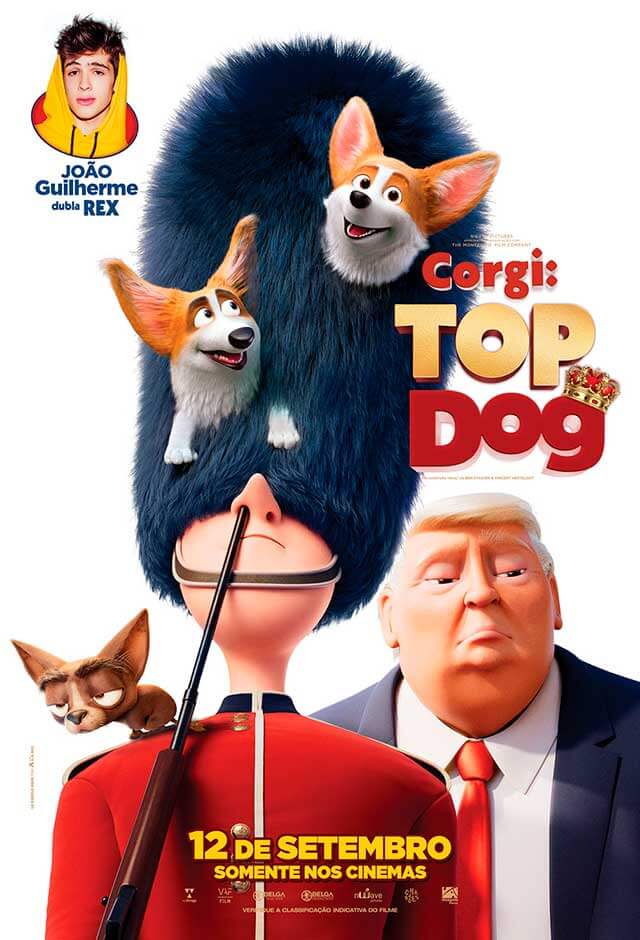 Crítica Corgi Top Dog, Corgi: Top Dog, Imagem Filmes, Delfos