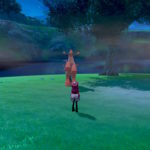 Pokémon Sword Wild Area de noite