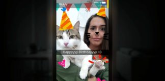 Simulacra é muito interessante, mas muito quebrado Simulacra, Delfos, Kaigan Games