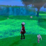 pokemon-isle-of-armor-kubfu-segue