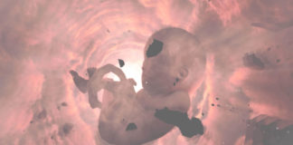 Análise Amnesia: Rebirth – mamãe e seu rebento Análise Amnesia Rebirth, Amnesia, Delfos