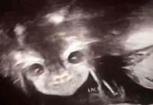 Crítica A Viúva das Sombras: A Bruxa de Blair russo Crítica A Viúva das Sombras, A Viúva das Sombras, Delfos