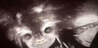 Crítica A Viúva das Sombras: A Bruxa de Blair russo Crítica A Viúva das Sombras, A Viúva das Sombras, Delfos