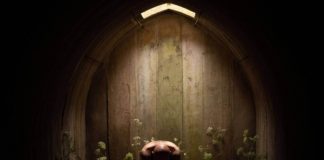 Crítica Men: é difícil ser mulher Crítica Men, Men, Alex Garland, Delfos