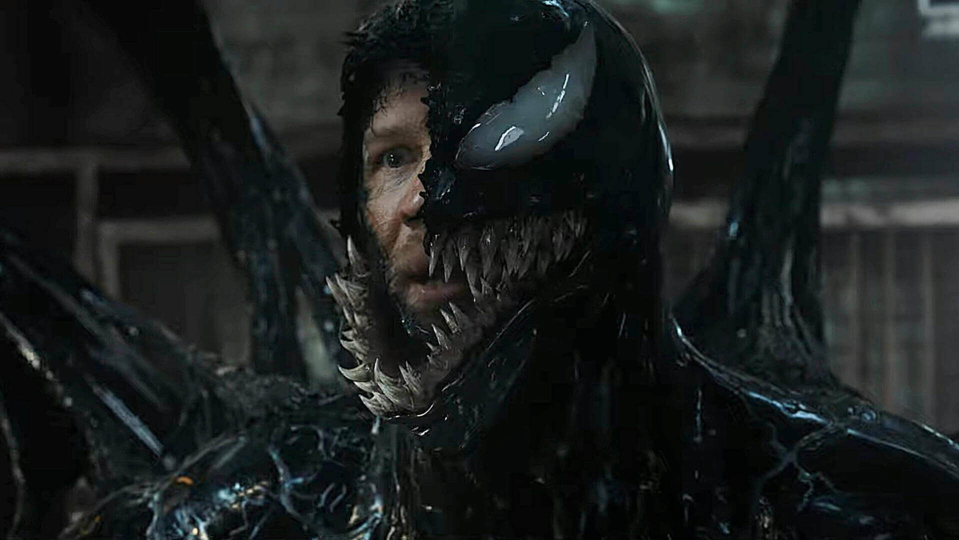 Venom, A Última Rodada, Venom A Última Rodada, Homem-Aranha, Delfos