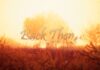 Review Back Then: precisamos falar sobre Alzheimer Back Then, Octopus Embrace, Alzheimer, Delfos