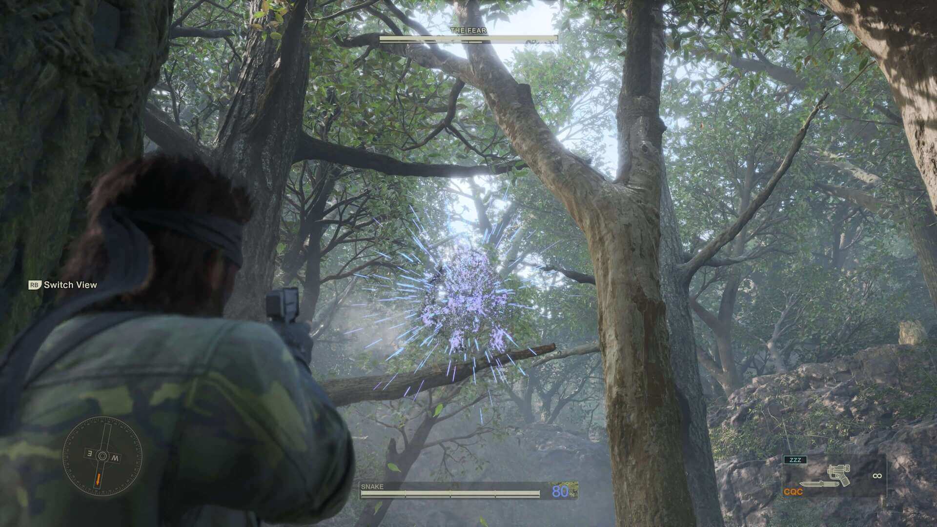 Metal Gear Solid Delta, Konami, Virtuos, Delfos