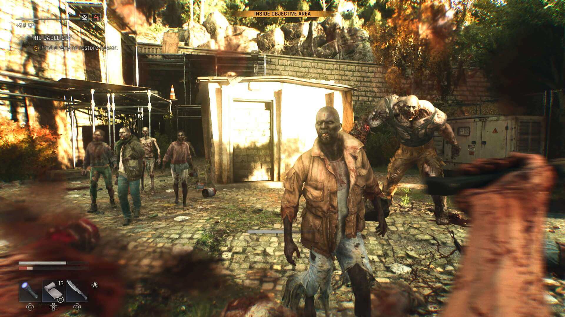 Dying Light The Beast, Techland, Delfos