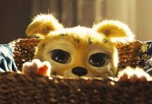 Crítica Marsupilami: agora no cinema Marsupilami, Paris Filmes, André Franchin, Delfos