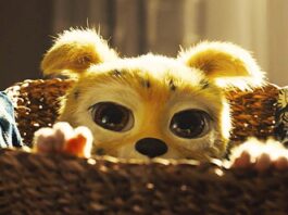 Crítica Marsupilami: agora no cinema Marsupilami, Paris Filmes, André Franchin, Delfos