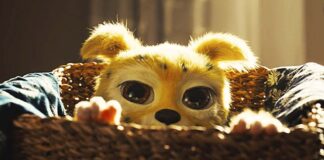 Crítica Marsupilami: agora no cinema Marsupilami, Paris Filmes, André Franchin, Delfos