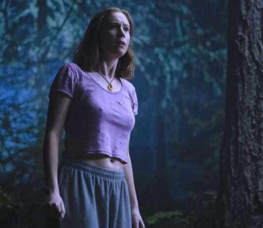 Crítica Acampamento Miasma: Adolescência, Sexo e Morte Acampamento Miasma, Gillian Anderson, Patrick Fischler, Hannah Einbinder, Delfos